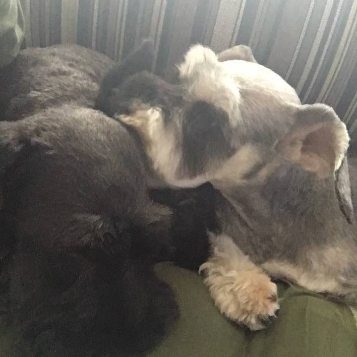 Dcca0762 6557 4656 9901 1c49cd6562d0