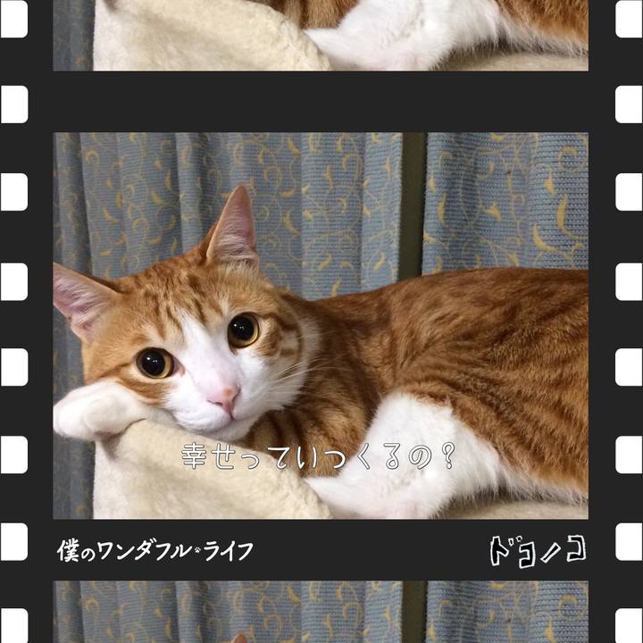 Dccad46b 39b4 4138 b361 bade33887565