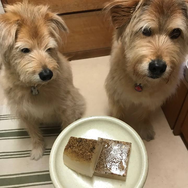 Dccb2556 420b 42ef 9b9b f09e3b5c305d