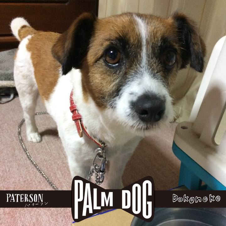 Dccb5269 a31a 44d5 9eea 1358276e6fd4