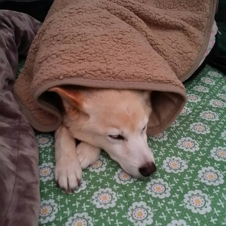 Dccb917d 6daf 4829 b367 61dcd452ff14