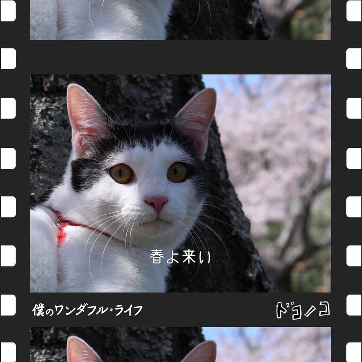 Dccb97c6 9089 4c0e bd4e afd557fce908