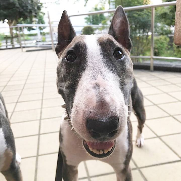 Dccb9c8b dd09 49be b72a 3e3ce776cdce