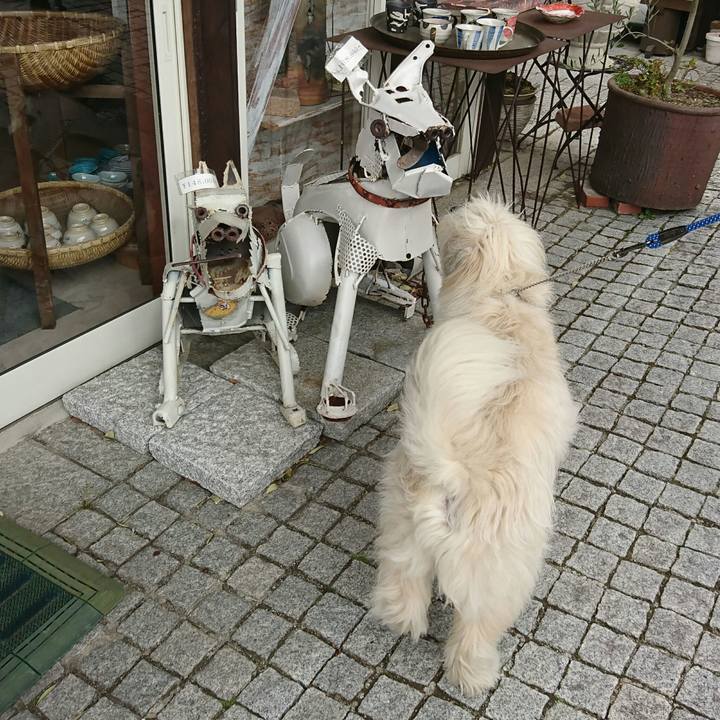 Dccbe6f2 177c 44b8 9eea 9eb50efe77a2