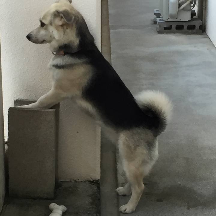 Dccbe99f da66 4592 b704 b15c0f6e8a1f