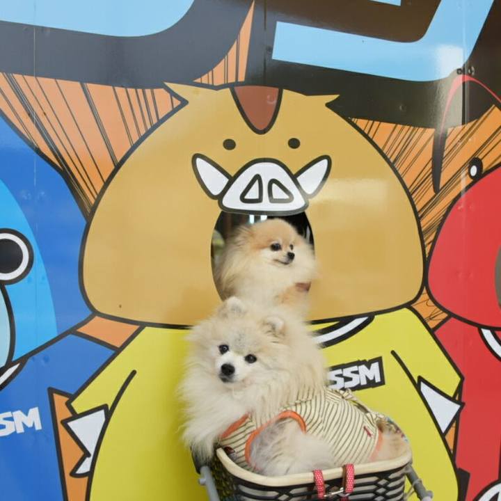 Dccbf863 57fe 4bfe 9c83 c59ad30a58e6