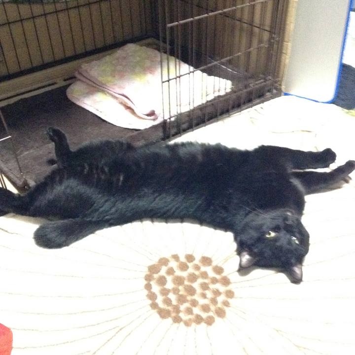 Dccc432b d5aa 400f b556 75ca4f906dfb