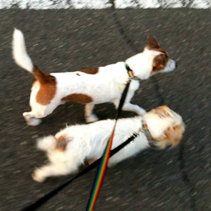 Dcccaa9a 759d 4833 b3da 3938a540a4bc