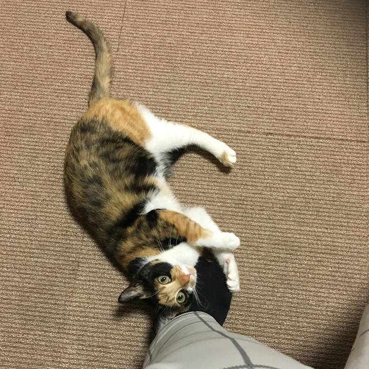 Dcccfeb4 e00a 4e88 9aa4 35d699b242d1