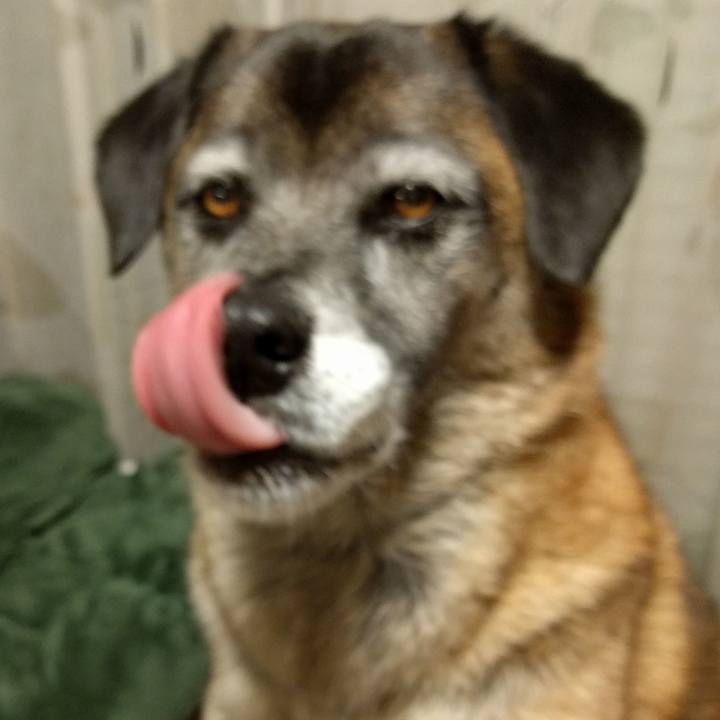 Dccddcba 6de2 4dae 85d4 821a171f398b