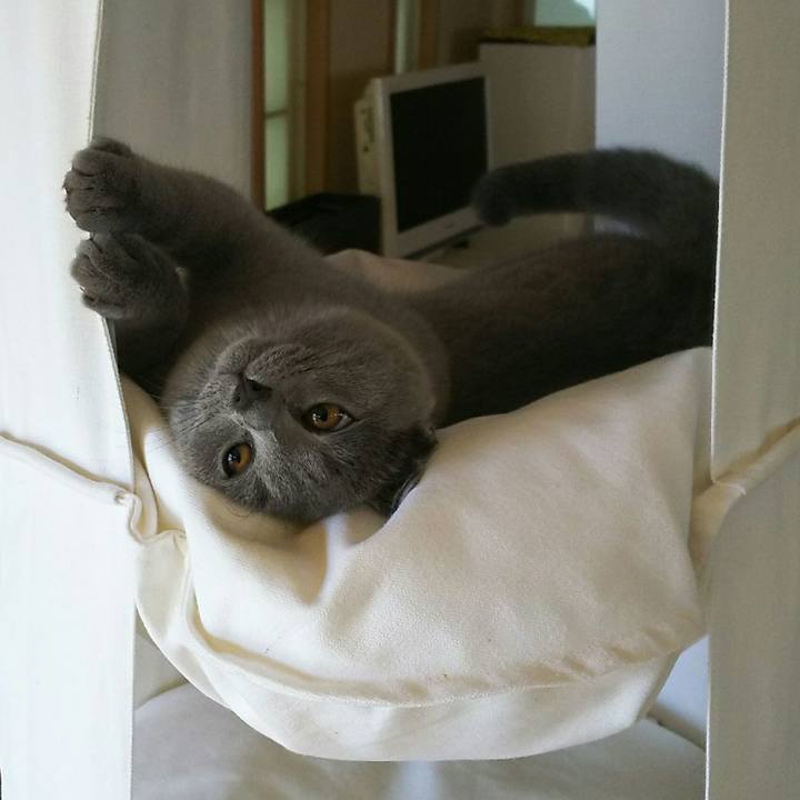 Dcce4b29 02ef 4dfa 9f3c 6c0cedc47651