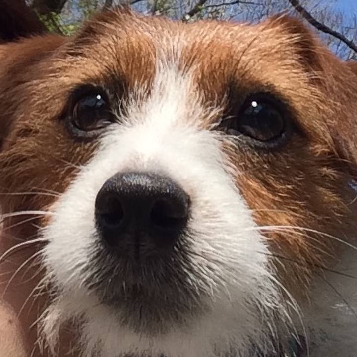 Dcce9255 b6c1 4726 b0c4 737bc7e66ff1