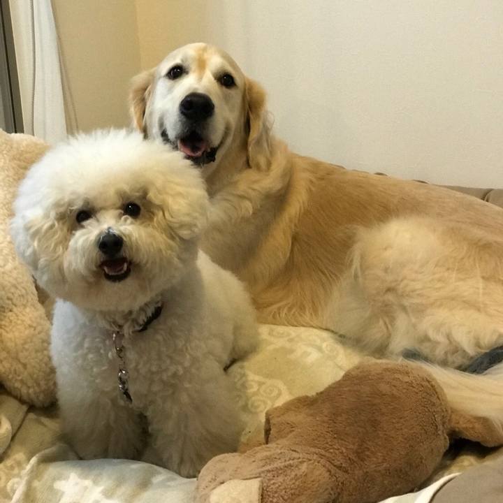 Dccf022b 8c95 43fe 8193 aabe639650cb