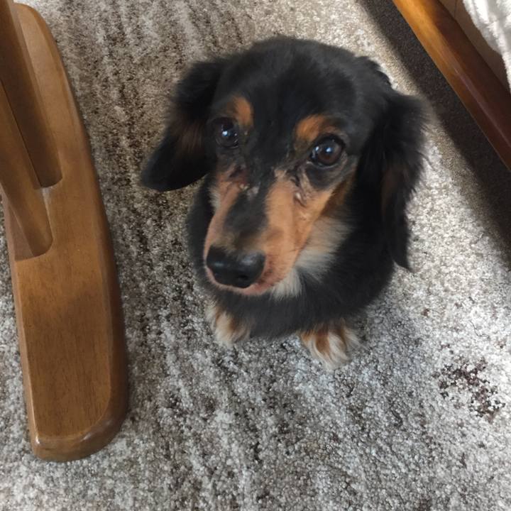 Dccf797f 3f06 4323 bd04 fa6bc77c2d6a