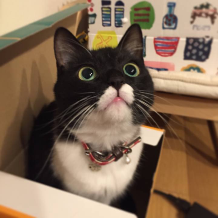 Dccf89dc 1b0e 4951 b4ad 0d7bfe2c9def