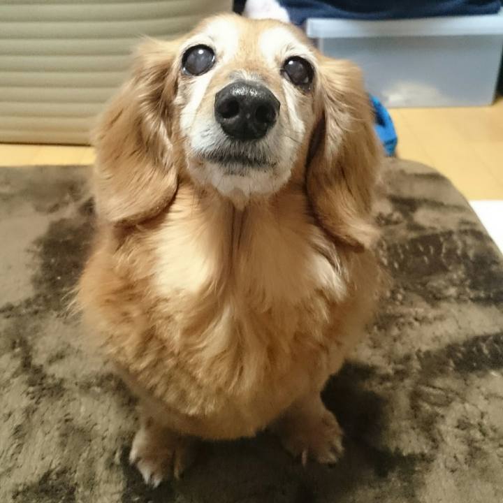 Dcd02efc a2bb 45c7 b740 aca98784e568