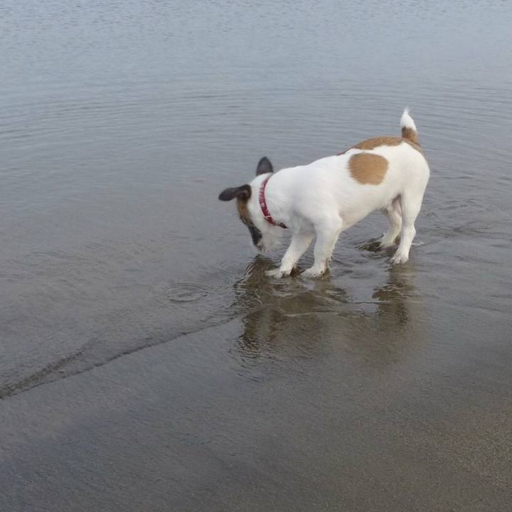 Dcd14dd0 5355 4796 a177 09c7c77fe6f5