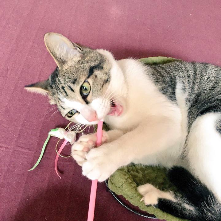 Dcd228a4 46e5 49d1 847f a4d6ac4be162