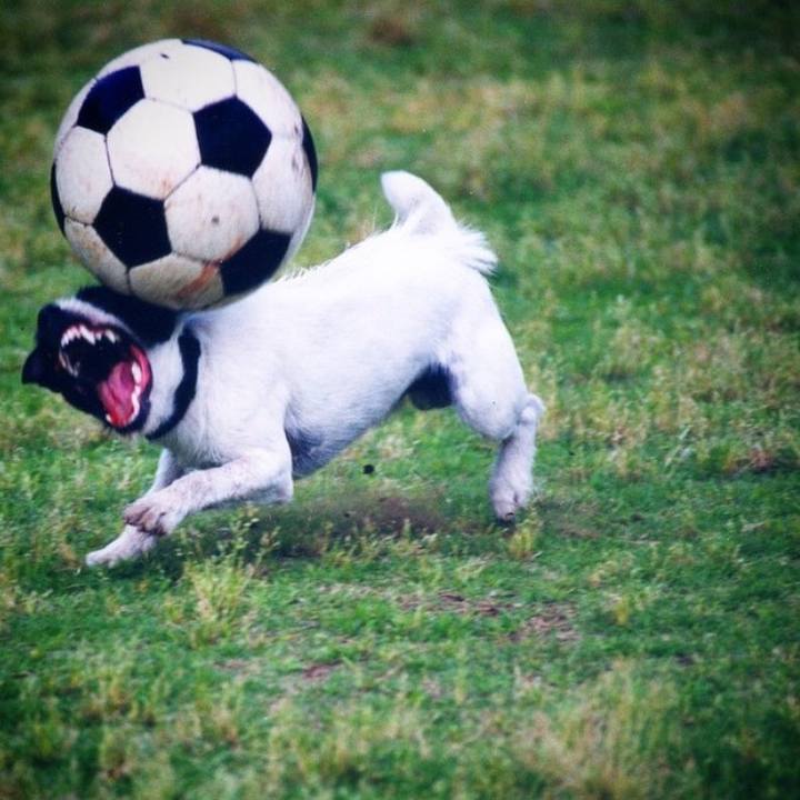 Dcd236a4 872d 4630 820f 9851f835f7ed