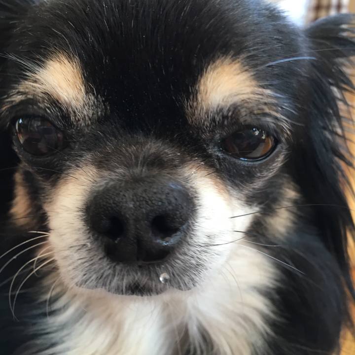 Dcd24008 10d7 4b50 831f b756f39bce84