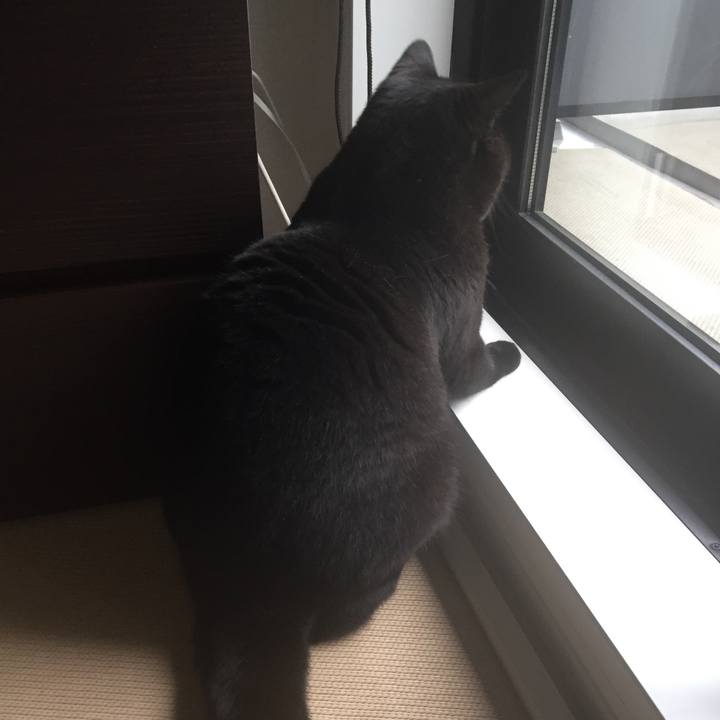 Dcd26ce4 d5a2 4ef7 89b1 4957fe2b5678