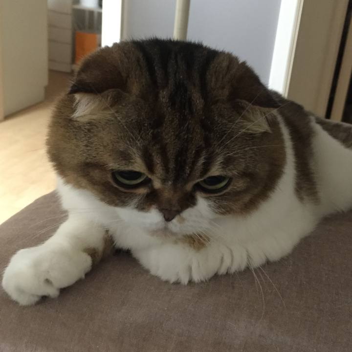 Dcd28850 ab2e 40fe 9918 242d91d095af