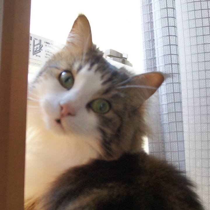 Dcd28da2 0b65 471e bc76 245fecbaa407