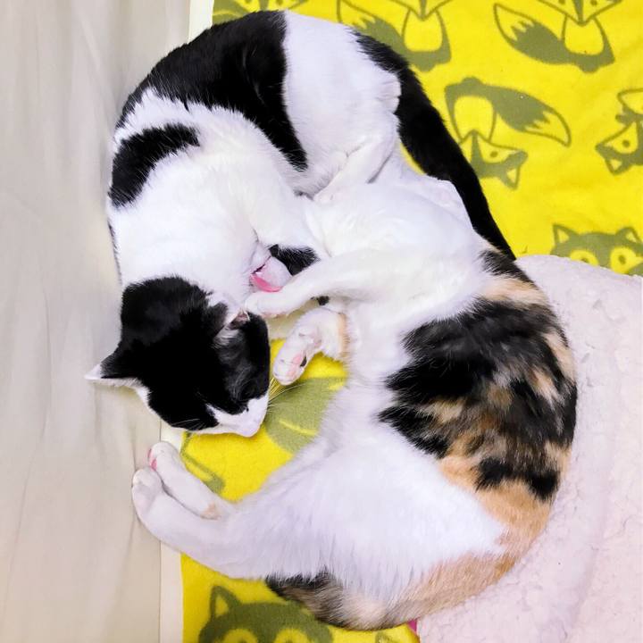 Dcd3acb1 7d10 420f 9861 5b2048f856bb