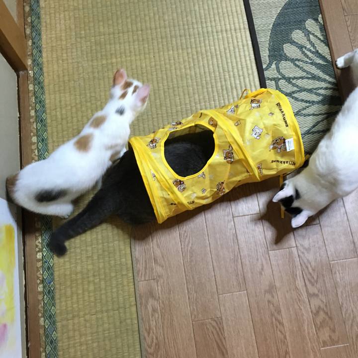 Dcd47258 f8a1 4e5b ae52 f956df2aab6f