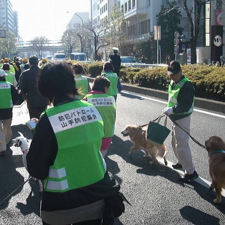 Dcd49539 b9a4 42ee 8cfc f70b215be3d9