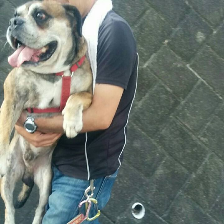 Dcd59ade 2605 4446 8eec a2ef84feacc6