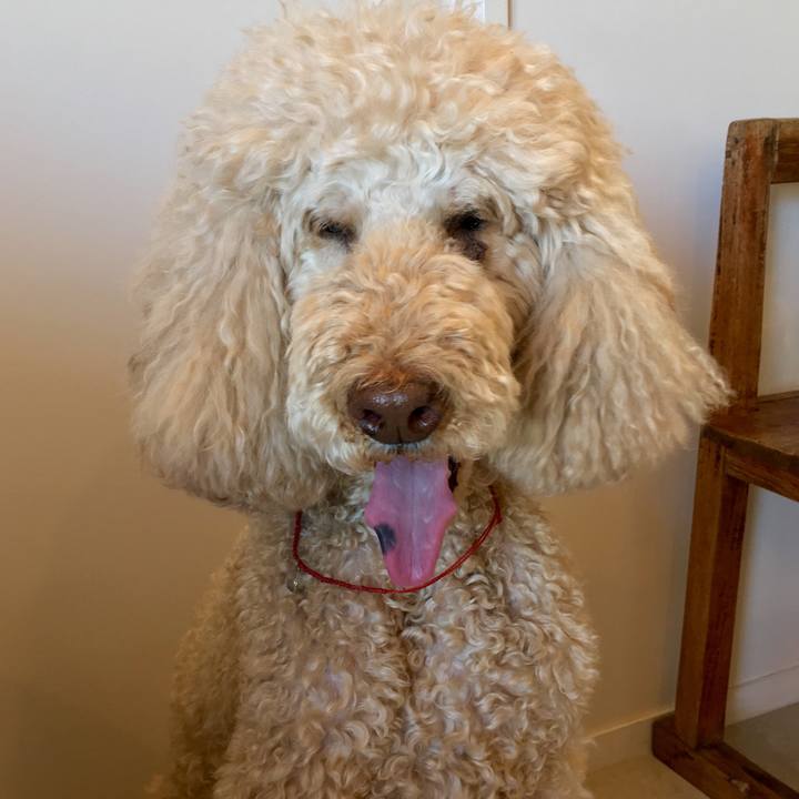 Dcd62395 2071 4ebd b1ad 0d76af0892df