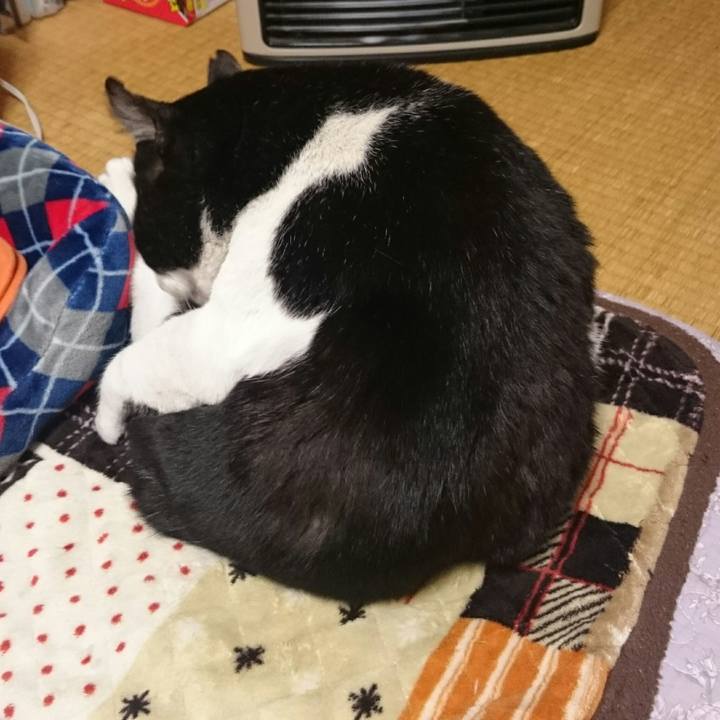 Dcd64e5b 612c 486f 8608 d94b06d02643