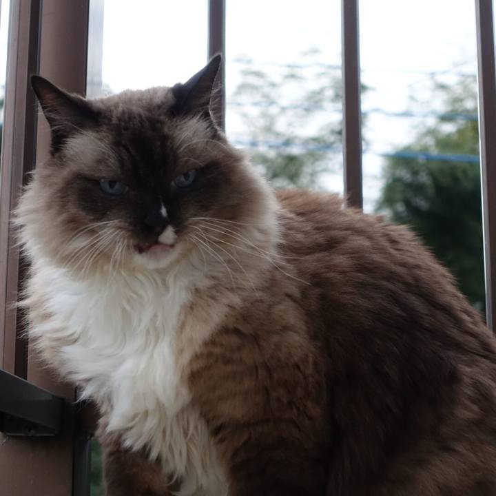 Dcd77acf 068e 4cf1 abec a92d4effeb5e