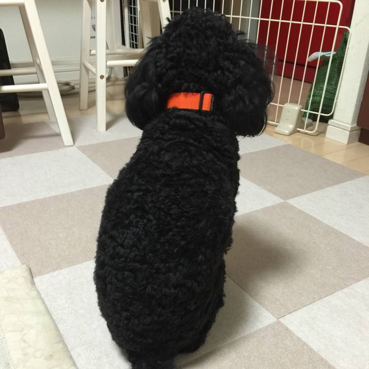 Dcd7ff6e 5575 4273 a548 4c0cdc1e585d