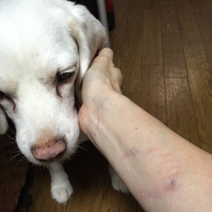 Dcd818f3 9379 4ad6 9c66 3d3a30359377