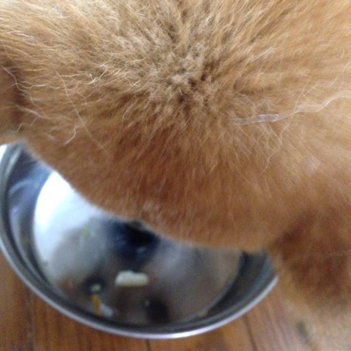 Dcd85193 836e 4d86 9618 968191aebf98