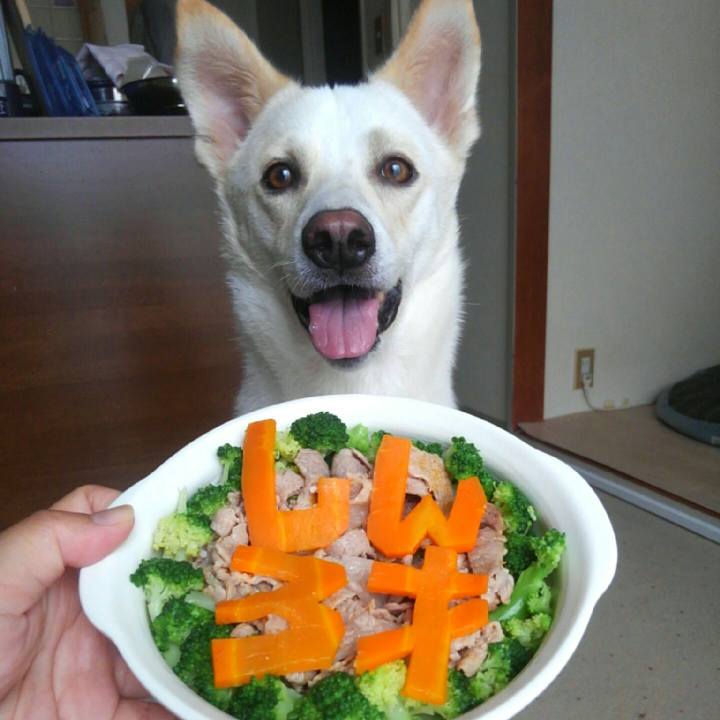 Dcd8a777 0290 4ec2 8174 2375ef10d303