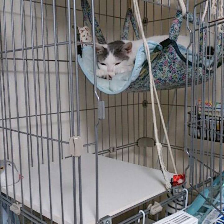 Dcd97dea f04b 409b bdfa 946f8a688051