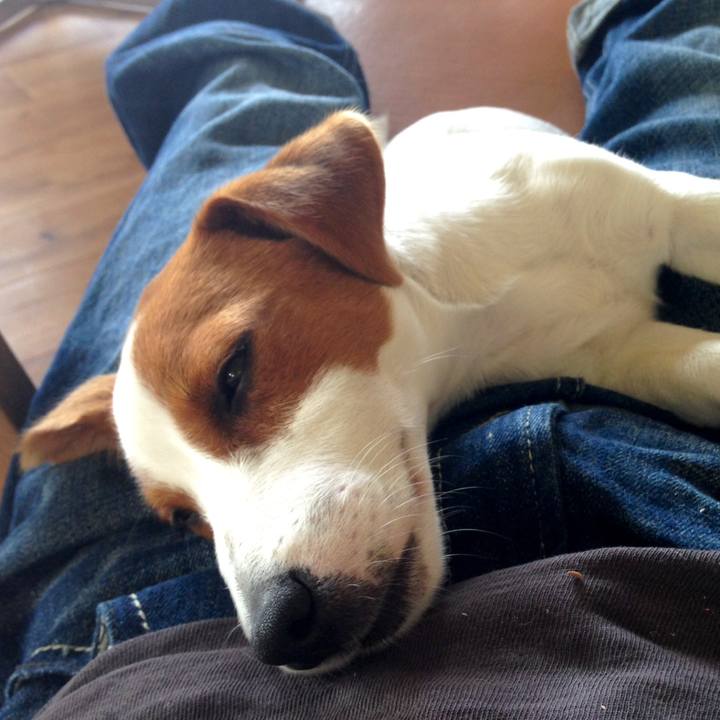 Dcda1785 6ec8 4708 811f 9e7c05771f92