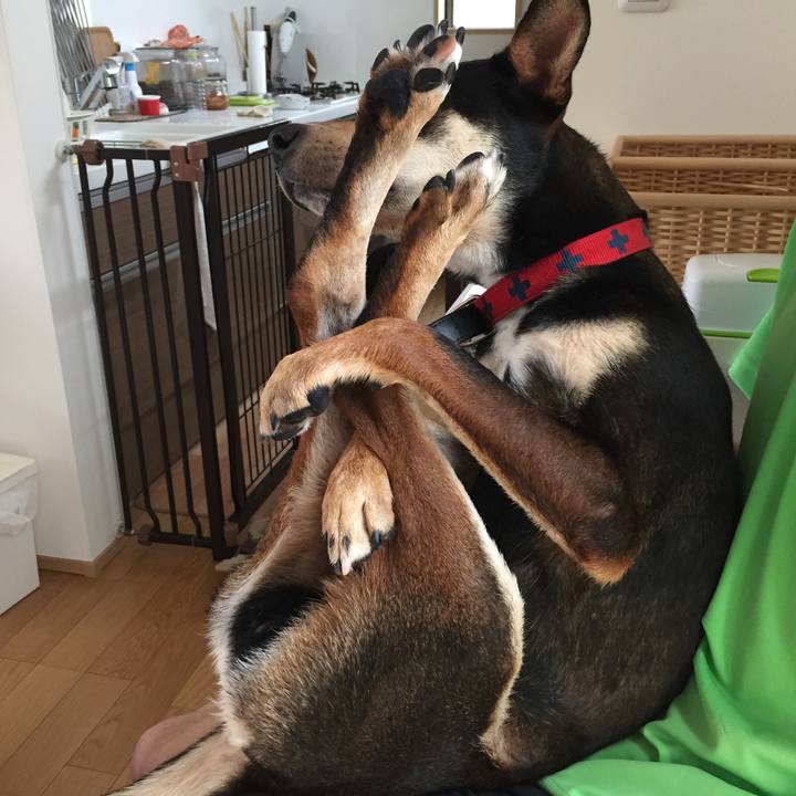 Dcda9c53 b5a1 457d 92ae 94dacec45042