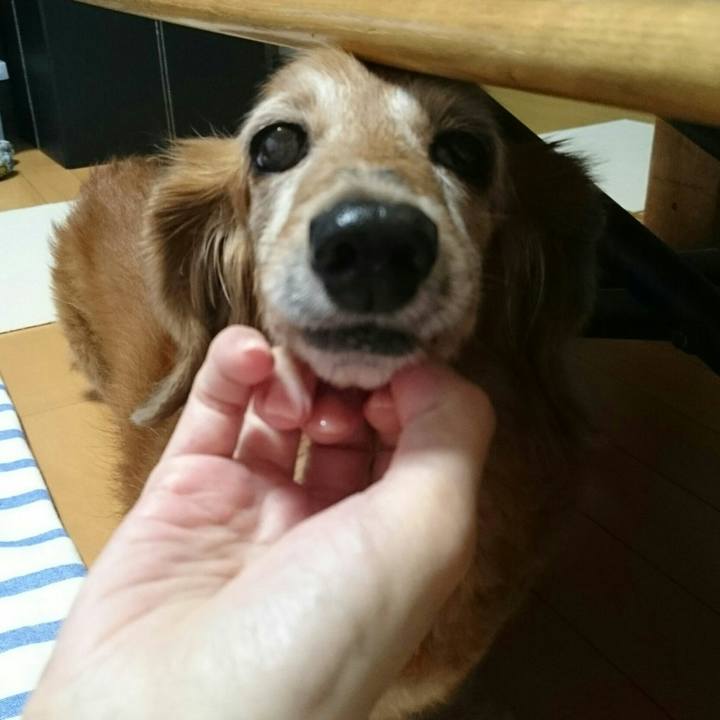 Dcdb1a1d 225e 43a9 a874 58df83f53def