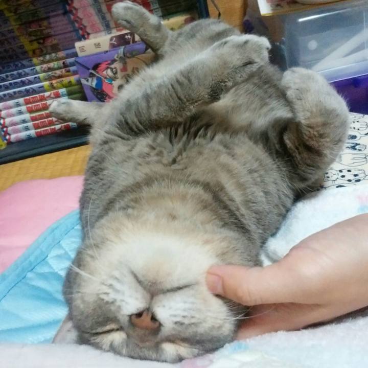 Dcdb7e65 b25e 436f 8fcc 3b61cd5335fb