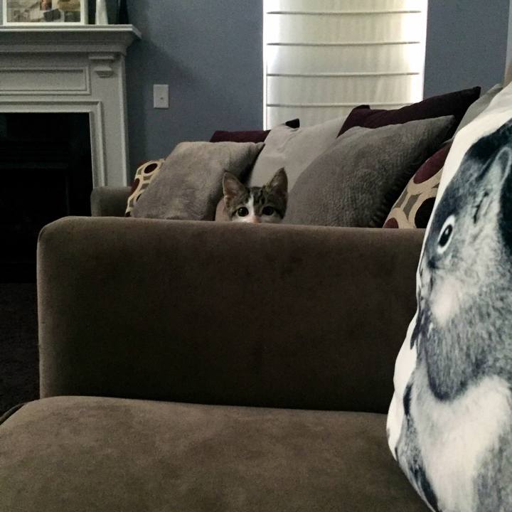 Dcdc010c 1956 4c8d ad31 20068a34b33e