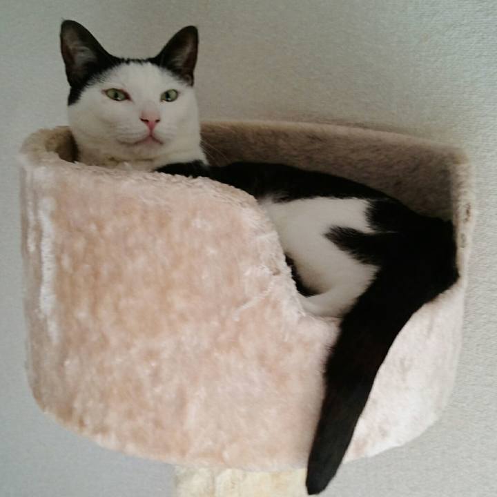 Dcdc0bad 7b55 4299 a27e a6b70e5516f5