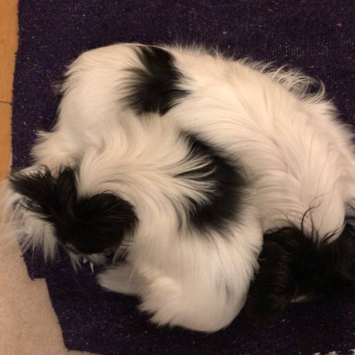 Dcdca868 9704 409b 84a0 96513b64aee5