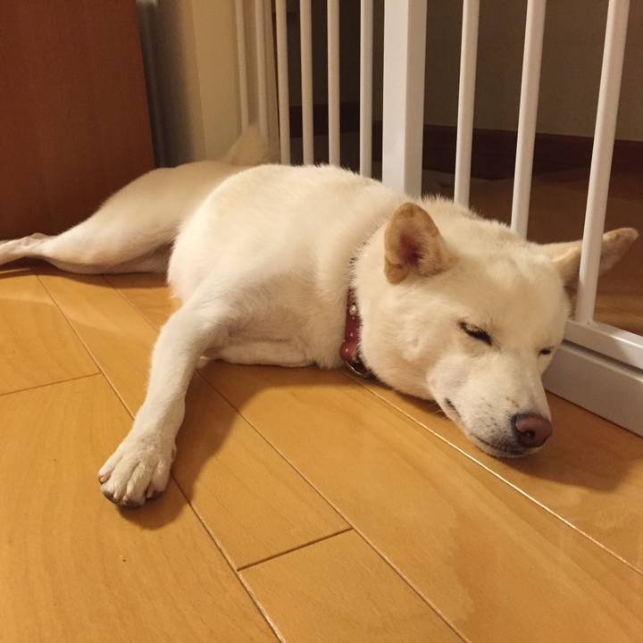 Dcdd035a b2cf 4583 aaa8 9da49c978870