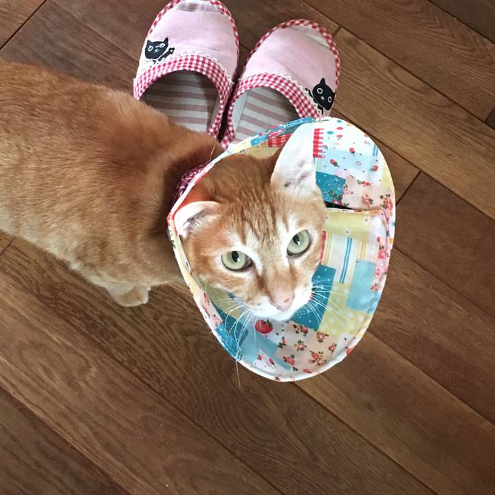 Dcddd442 fd04 43e6 98dd 85528266f9eb