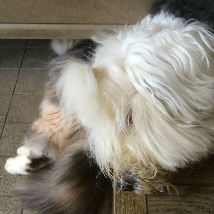 Dcdea922 5d2a 4573 afb6 cf2ce7dc5dd3