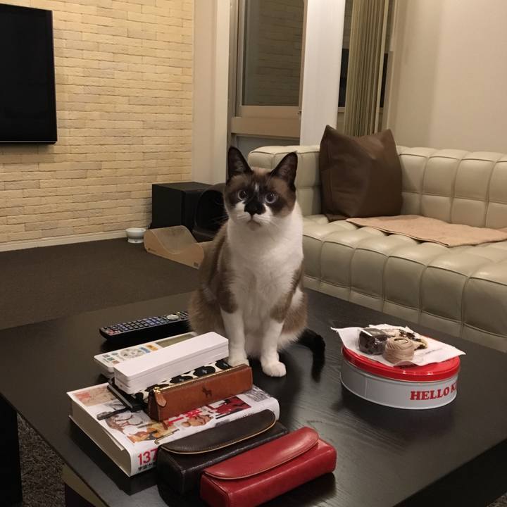 Dcdec766 1454 4d03 a373 e317da7f3db8